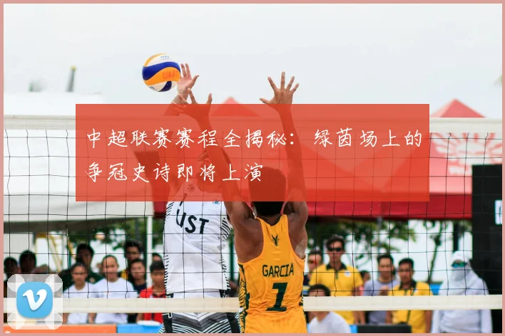 中超联赛赛程全揭秘：绿茵场上的争冠史诗即将上演