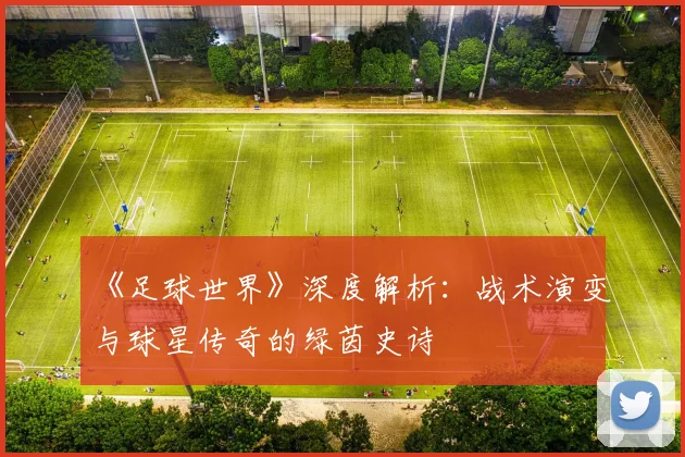 《足球世界》深度解析：战术演变与球星传奇的绿茵史诗